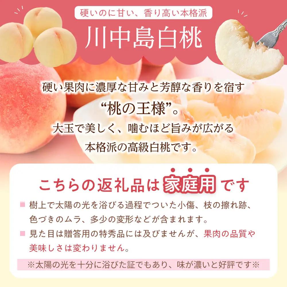 【※2027年8月発送分　先行受付】長野市生まれ　奇跡の川中島白桃2kg　家庭用　信州ハピネスフルーツ | 桃 もも