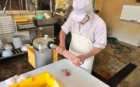 【草岡ハム】手づくりフランクフルト4種詰合せ（プレーン・さくら(馬肉)・チーズ・行者菜） F2Y-6689