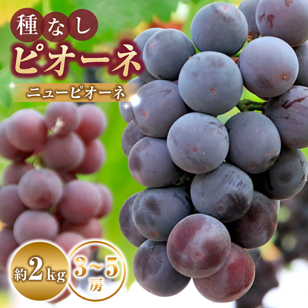 【ふるさと納税】大粒種なし ピオーネ（ニューピオーネ）2kg 　ピオーネ　ぶどう ブドウ 果物 セット 詰め合わせ フルーツ贈答用 限定 ふるさと 人気 おすすめ 贈答 ギフト お裾分け プレゼント 宮崎県 小林市 送料無料