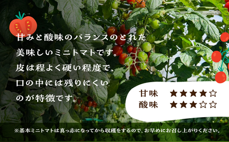 先行予約（2026年8月上旬頃から順次発送）ミニトマト（キャロルポポ） 1kg 【27-9】