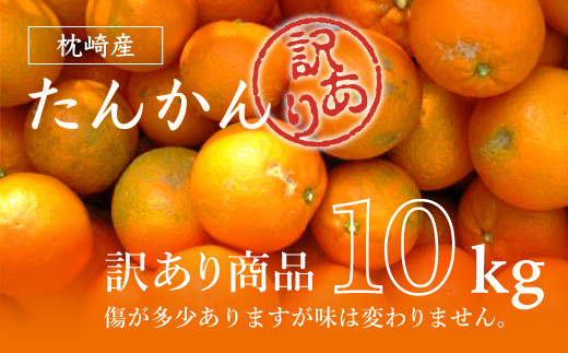＜訳あり＞南国特産もぎたてフルーツ たんかん10kg＜先行受付＞2月下旬より順次発送 B2-14【1466329】