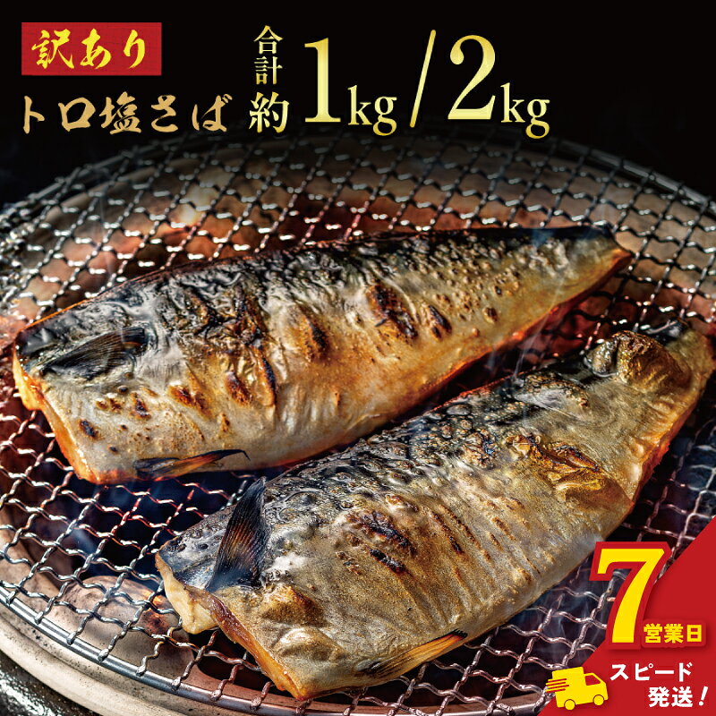 訳あり トロ 塩さば 3.5kg 大盛り 千葉 銚子 塩鯖 おかず おつまみ 酒 あて 海鮮 魚 飯田商店 ※北海道、沖縄、離島への配送不可