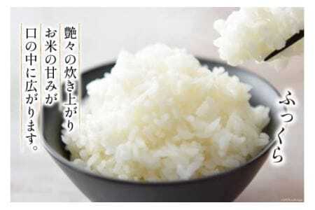 【北海道で一番食べられているお米】 令和5年 米 ななつぼし 5合(750g)【郵便受けにお届け】[武山農園 北海道 剣淵町 14656217]