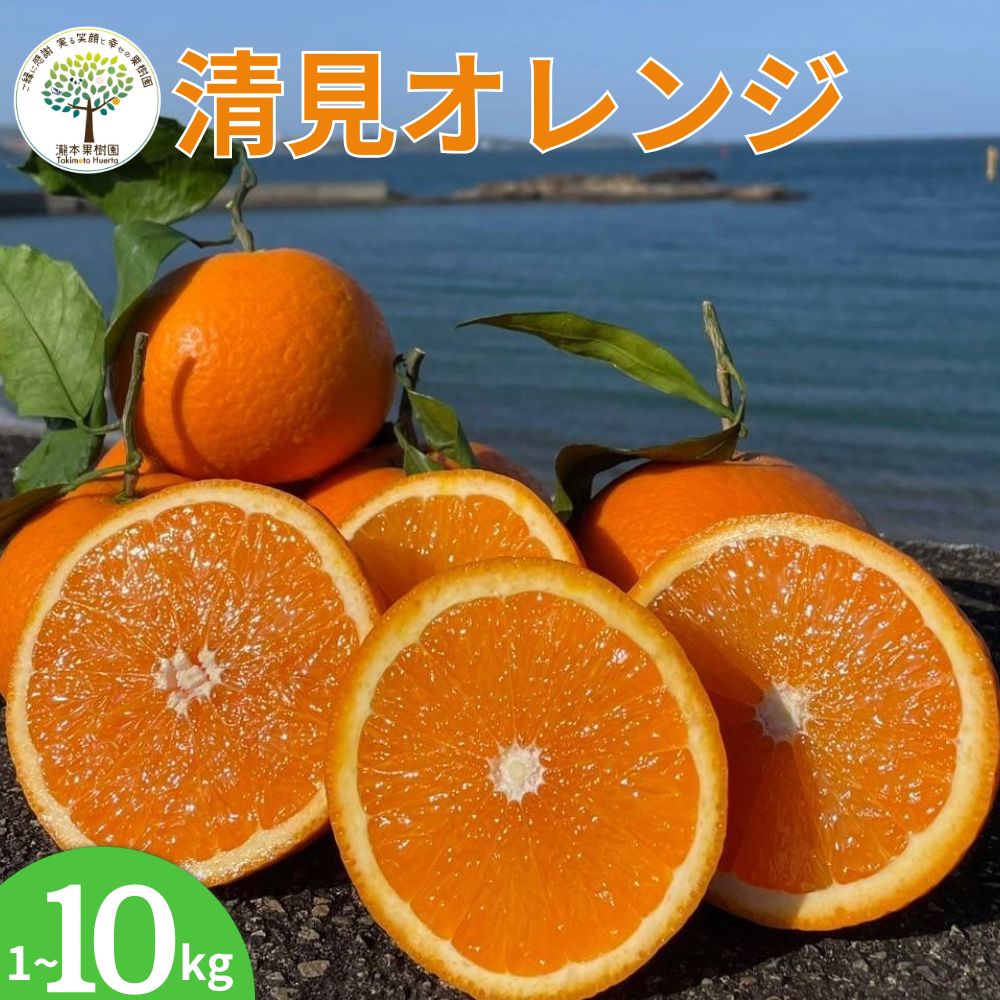 【ふるさと納税】【期間限定・2025/4/31まで】葉付き清見オレンジ 3～10kg L～4L（サイズ混合）※2026年4月上中旬から順次発送予定※ / オレンジ きよみオレンジ きよみ 柑橘 フルーツ 果物 和歌山県 田辺市