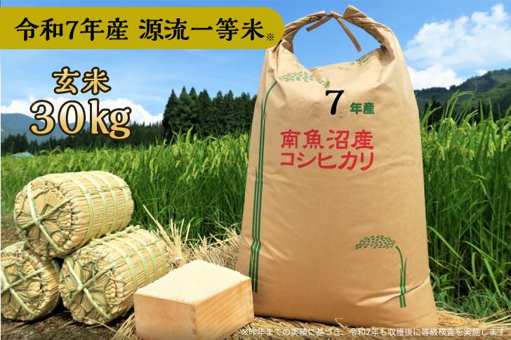 
            【令和7年産】玄米 30㎏ 源流一等米 南魚沼産コシヒカリ 産地直送 中屋ふぁーむ【湯沢産コシヒカリ】
          