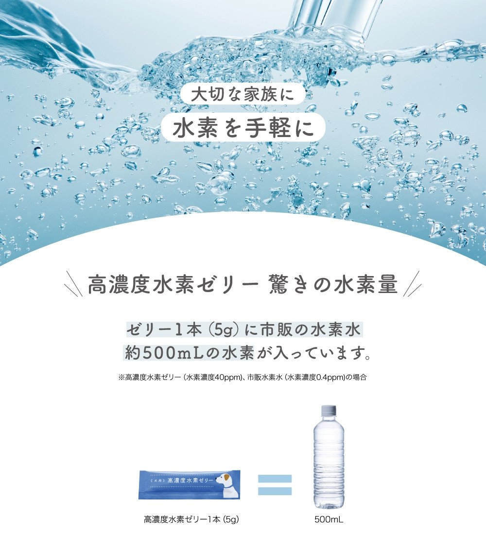 【3ヶ月定期便】 高濃度 水素ゼリー 犬用 31本入り × 3回 (1本5g) 水素 ゼリー ごはん おやつ 犬 愛犬 健康食品 サプリ ヨーグルト風味 持ち運び 携帯 ペット