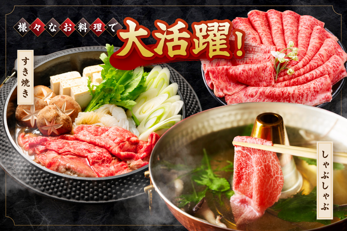 佐賀牛肩ローススライス 500g 201-J2410