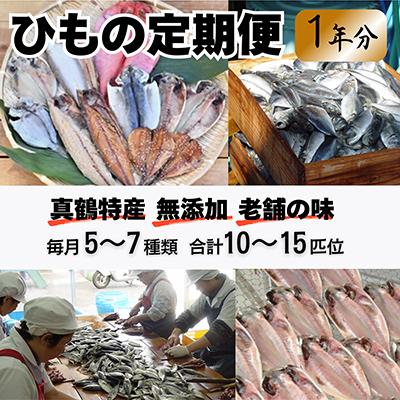 ふるさと納税 真鶴町 真鶴特産ひもの(5〜7種類合計10〜15匹位)を1年間毎月1回の定期便でお届けプラン