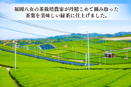 AA149.福岡八女茶のペットボトル.緑茶（５００ml×２４本）
