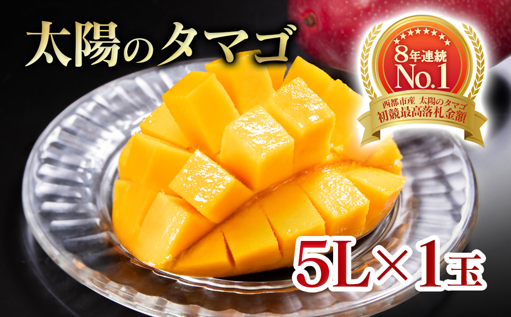 6月発送【先行予約】最高級ブランド『太陽のタマゴ』5L×1個【糖度15度以上】宮崎県西都市産完熟マンゴー＜68-9a＞宮崎マンゴー 果物 フルーツ 甘い 6月発送　太陽のタマゴ　5L×1
