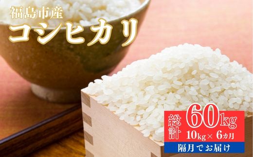 No.1499【令和７年産新米　先行予約】大文字屋米穀店【定期便6回】コシヒカリ 10kg（5kg×2）精米 （隔月でお届け）