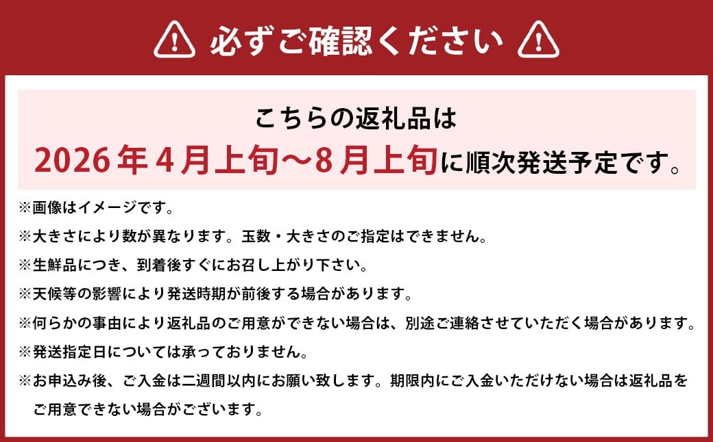 訳あり 河内晩柑 5kg
