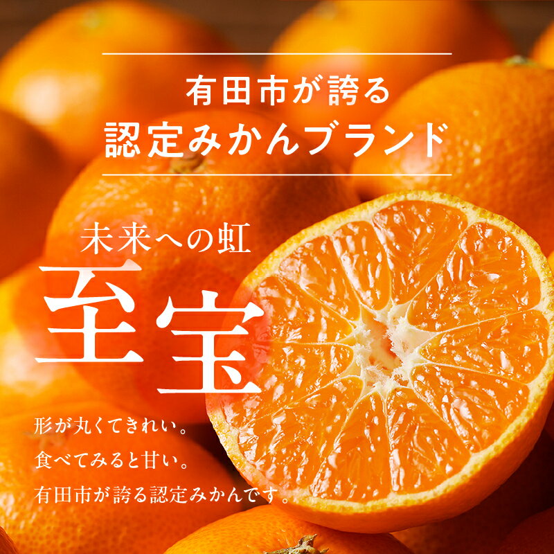 【ふるさと納税】 有田市認定みかん「未来への虹」至宝【日本初自治体認定フルーツ】(A1-2) 日本初 自治体 認定 送料無料 産地直送 フルーツ 果物 本場 和歌山 ありだ みかん 幸せの連鎖 甘い 濃厚 コク S M L ふるさと 応援 寄附 おすすめ 国産 先行予約