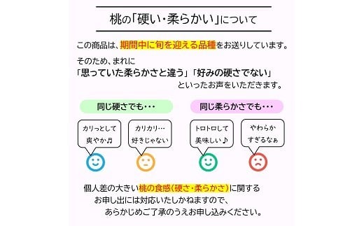 【令和8年産先行予約】 《定期便4回》 フルーツ味わい定期