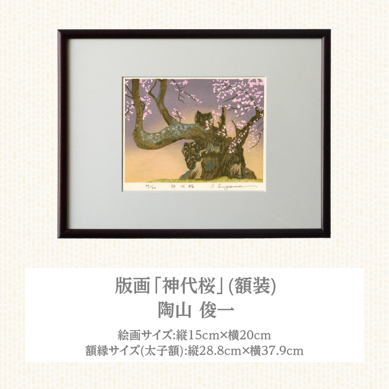 版画「神代桜」 版画 神代桜 桜 特別天然記念物 日本三大桜 額装 絵画 木版画家 陶山俊一 小牧市在住 日本 自然 風景 モチーフ 遠近感 質感 木版画 アート アート作品 インテリア 壁掛け 絵 