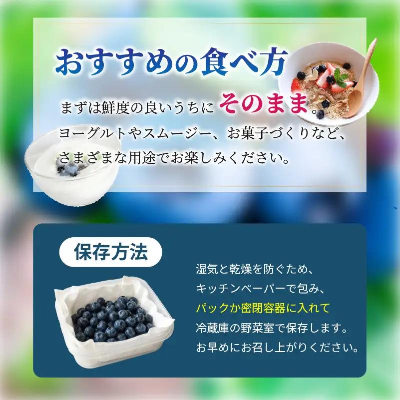 訳あり ブルーベリー 500g 【2026年8月下旬頃から順次発送】 | ブルーベリー ベリー フルーツ 果物 くだもの 冷蔵 期間限定 愛媛県 松山市 ベジろう 送料無料 【VEG115】