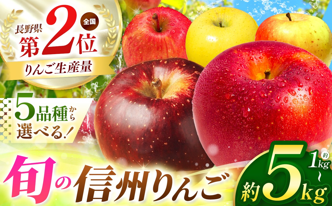 
                  【2026年先行予約】 長野県産 5品種から選べる！信州 エールりんご（単品 or セット）≪ 寄附で農家さんを応援♪♪ ≫【9月末以降発送 ※品種により異なる】 | 果物 くだもの フルーツ 林檎 りんご リンゴ シナノゴールド シナノスイート ぐんま名月 サンふじ お好み 訳あり 信州産 長野県 塩尻市 | 寄付額 6000円～
                