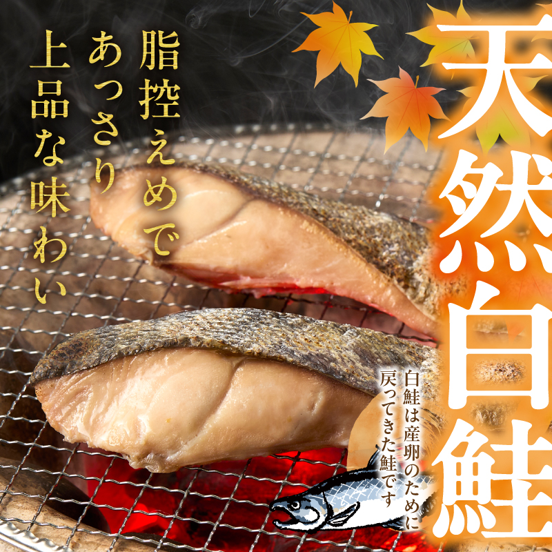 a20-488　訳あり！ 天然 白鮭 甘口 切身 約3kg 便利なジッパーバック入り