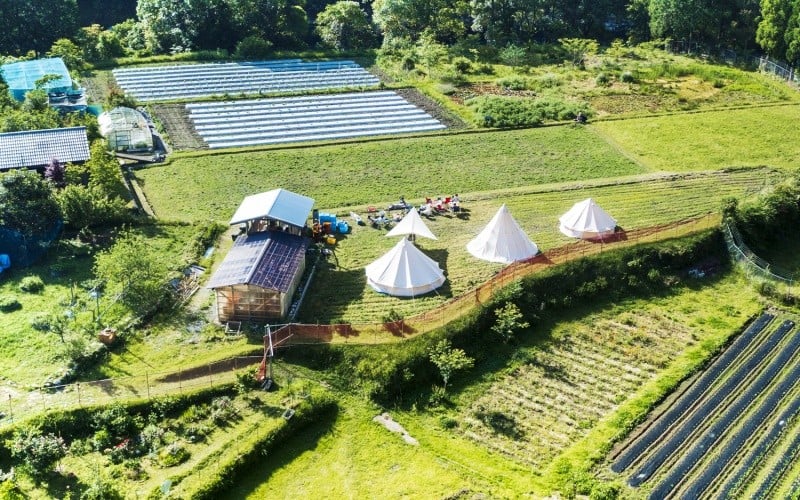 
            キャンプ場利用クーポン券 3000円分 自然に抱かれる秘境キャンプ場 -ご縁坐 VEGE GARDEN【gnz300】
          