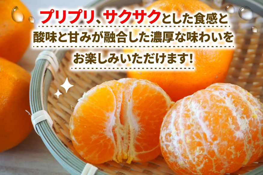 ぽんかん 5kg ワールドファーマーズ 先行予約 ポンカン みかん mikan 愛媛ミカン 愛媛蜜柑 愛媛みかん 果物 くだもの フルーツ 柑橘 甘い ジューシー 果肉 みかん 蜜柑 数量限定 産地直