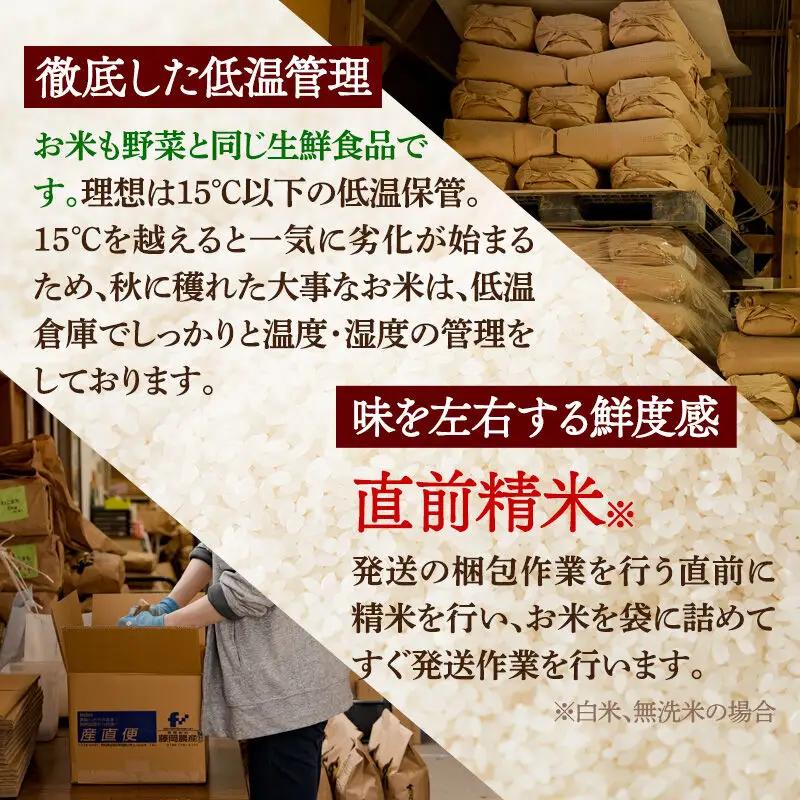 《1回のみお届け》令和7年産 【無洗米】通算5回特A 秋田県産ひとめぼれ 10kg(5kg×2袋) 配送時期選べる お米 米 こめ 藤岡農産