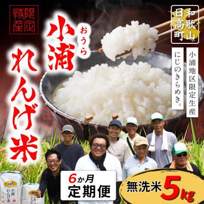 ふるさと納税 日高町 【毎月定期便】小浦れんげ米(にじのきらめき) 無洗米 5kg全6回