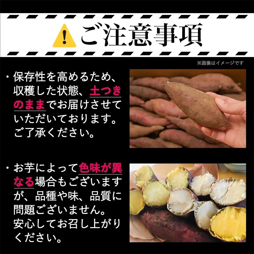 先行受付!【11月お届け】島津甘藷　熟成紅はるか 10kg(2L～M)_12-A7-001-10kg-11_(都城市) 島津甘藷 紅はるか 未選別 10kg 2L～M