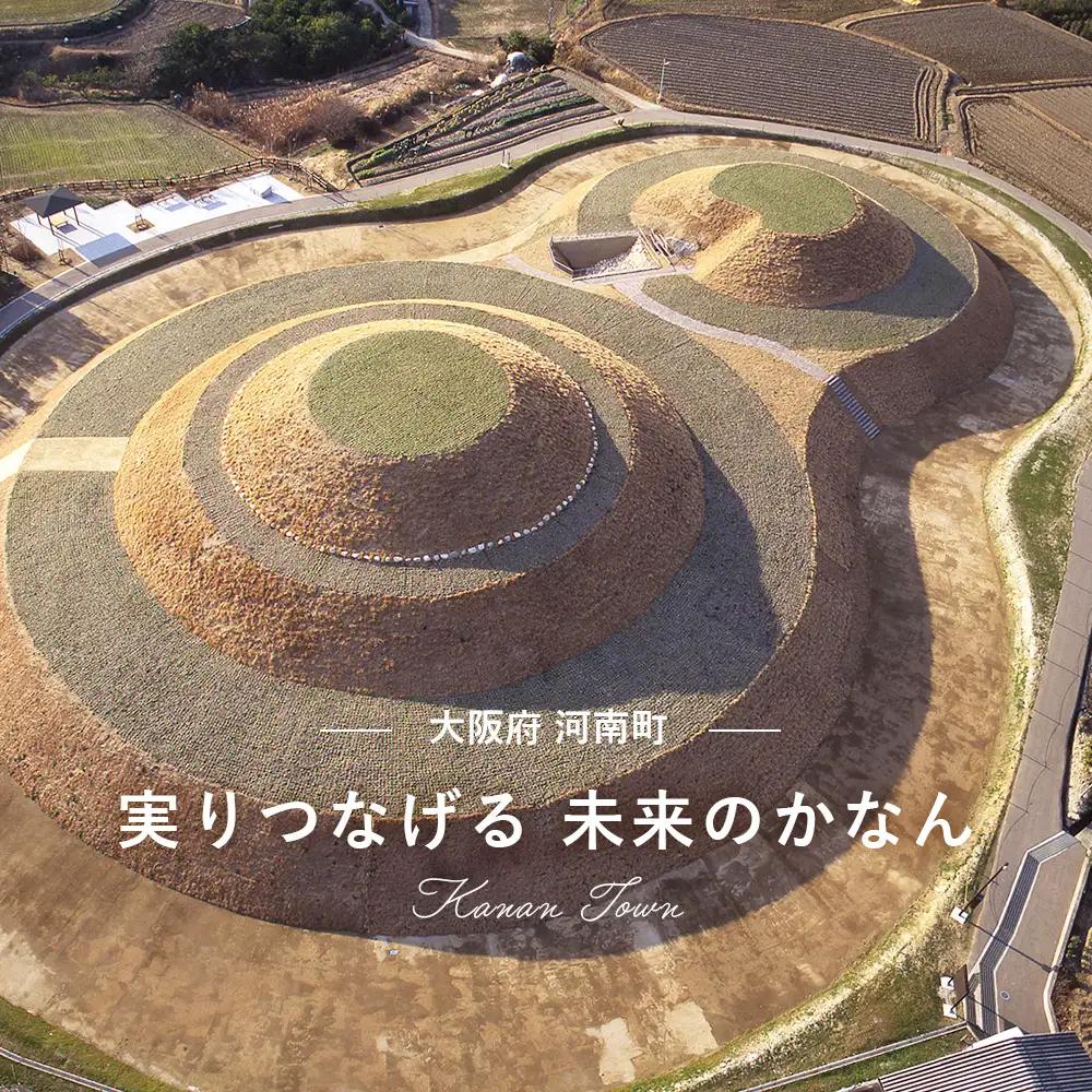 （12個セット）河南町の果物や野菜を使用した季節のジェラート詰め合わせ No.373