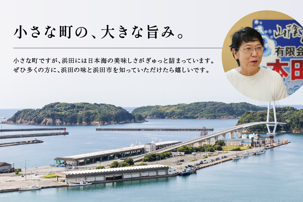 訳あり 干物てんこ盛りセット 3kg以上 【176_1790】