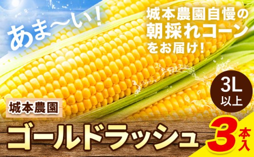 産地直送 とうもろこし 朝採れ スイートコーン ゴールドラッシュ 3本セット 特大 熊本 阿蘇 産山村トウモロコシ ギフト 今が旬 コーン 旬 お取り寄せ 人気 大人気 贈答《2026年7月中旬-8月末頃出荷》