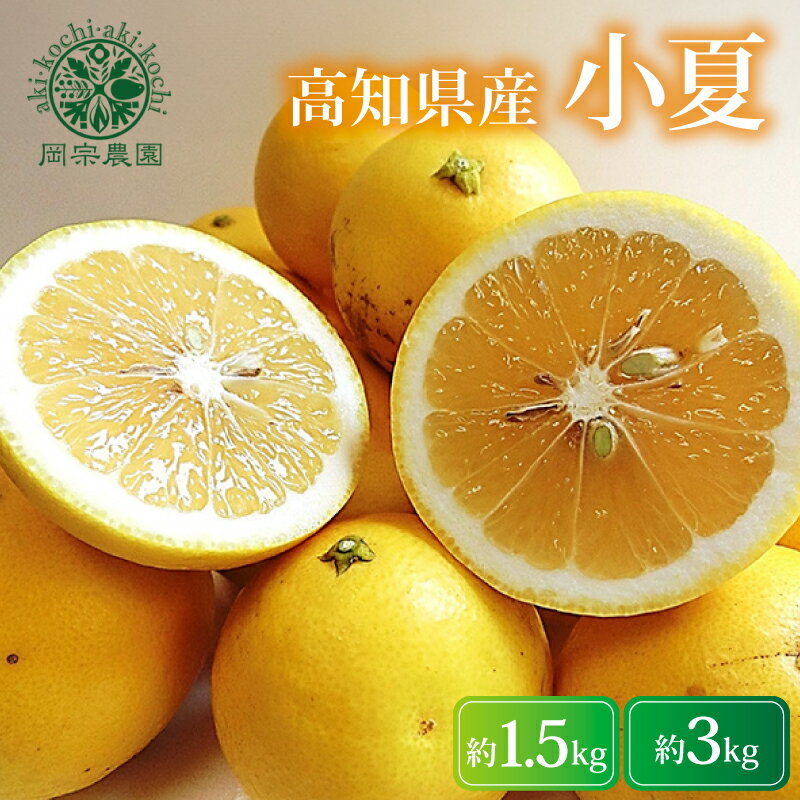 【ふるさと納税】 小夏 1.5kg 3kg みかん 柑橘 フルーツ 果物 先行予約 令和8年産 期間限定 季節限定 家庭用 自宅用 ギフト プレゼント 贈答 こなつ デザート スイーツ アレンジ ゼリー ジャム ケーキ メリーガーデン 高知県産 安芸市 高知県