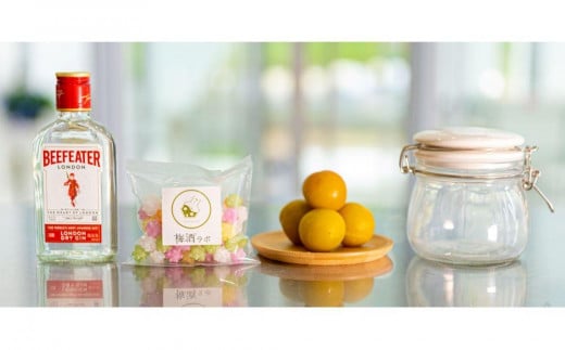 梅酒作成ミニキット（ジンベース）umslabo004