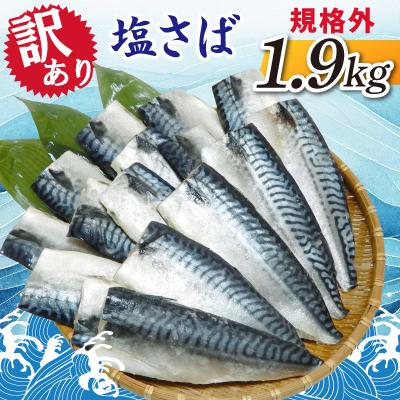 ふるさと納税 神栖市 【訳あり】規格外　塩さば　1.9kg