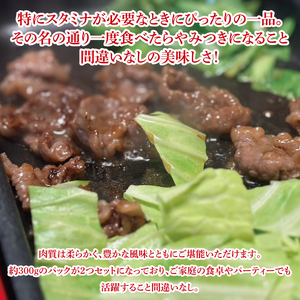 【数量限定】イチオシ！！常陸牛やみつきスタミナ焼600g(MJ-2)