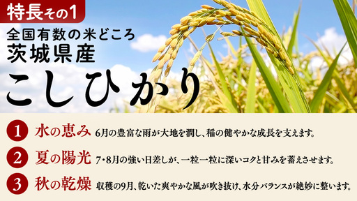 【 金芽米 ( 無洗米 ) 】 ＜6月下期出荷＞ つくばみらい市産 コシヒカリ 5kg × 2袋 ( 計 10kg )