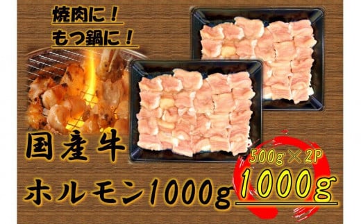 
            国産牛　ホルモンセット　1000g
          