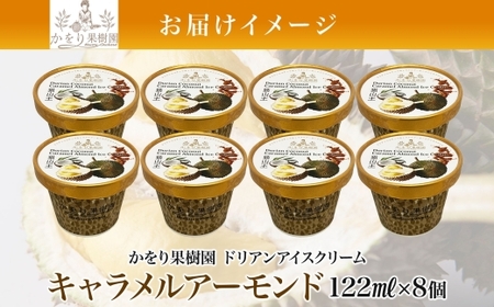 ドリアン ココナッツ キャラメルアーモンド アイスクリーム 122ml 8個 濃厚 ココナッツミルク スイーツ お菓子 ソフトクリーム おやつ デザート ご当地アイスセット 詰め合わせ お取り寄せ ギ