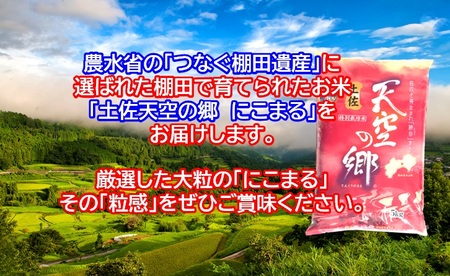 【新米予約】令和7年産土佐天空の郷 にこまる 5kg　2010年・2016年 お米日本一コンテスト inしずおか 特別最高金賞受賞の棚田米