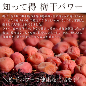 しそかつお梅干しつぶれ梅（はちみつ入り）［ご家庭用］ 約１ｋｇ《紀州南高梅》【入金確認後準備ができ次第順次発送】【AA90006-ard108】