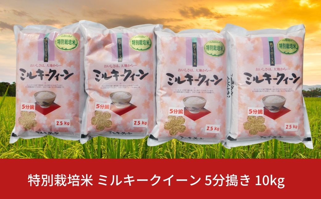 
            【先行予約】特別栽培米 ミルキークイーン 5分搗き 10kg 新潟県産 令和7年産 [佐藤農産有機センター]【018S020】
          