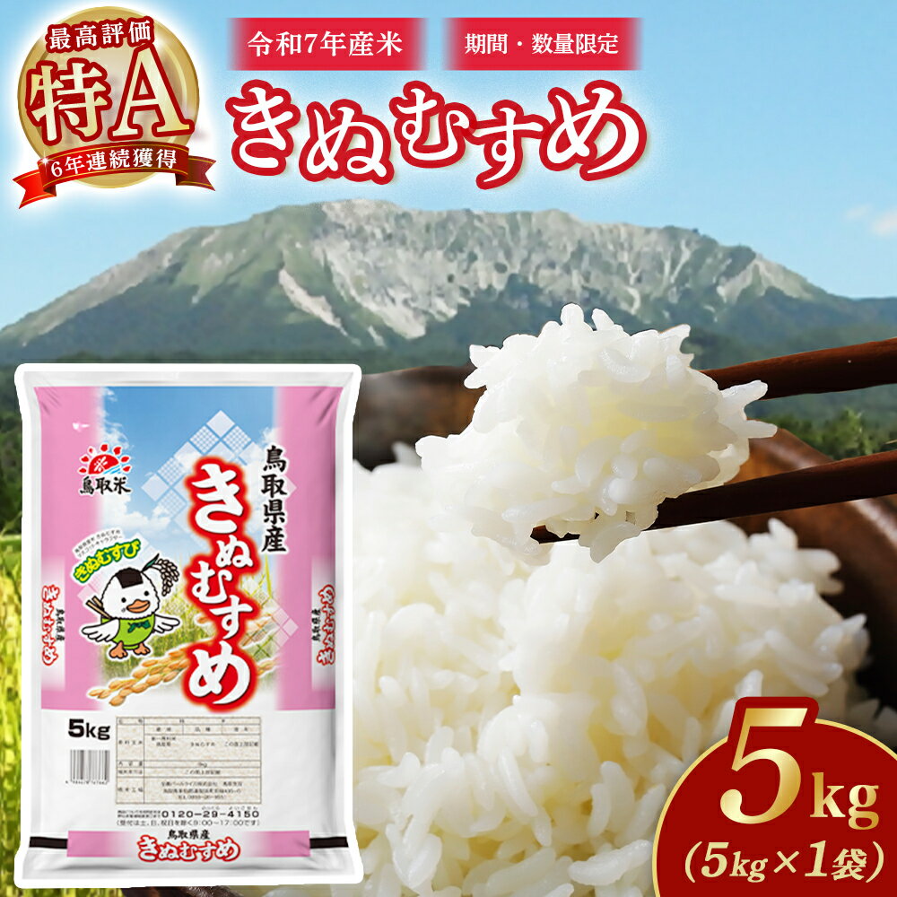 【ふるさと納税】【数量限定】【令和7年産米】鳥取県産 きぬむすめ （5kg) パールライス 令和7年産米 精米 お米 米 こめ コメ 白米 ブランド 米5キロ きぬむすめ