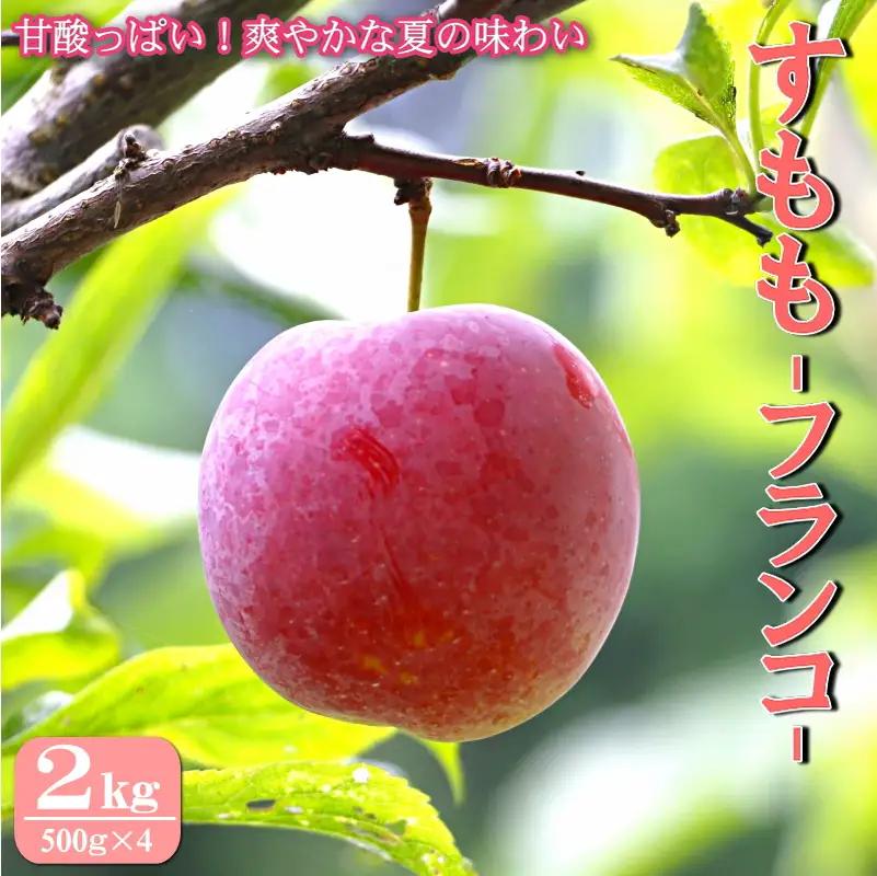 すもも フランコ 田辺市産すもも 2kg 【mtm003-1】