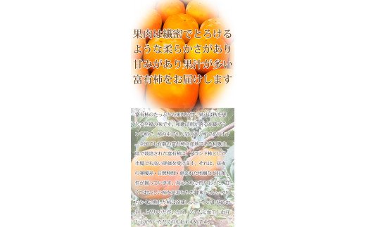 【ご家庭用わけあり】和歌山秋の味覚　富有柿　約3.5kg　※2024年11月上旬頃～2024年11月下旬頃順次発送