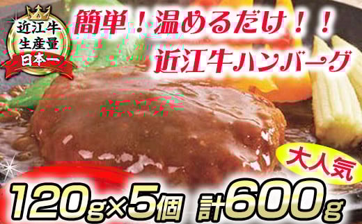 
            ハンバーグ 近江牛 ハンバーグ 600g ( 120g × 5個 ) 総本家肉のあさの【AE14W】 近江牛 ハンバーグ 神戸牛 松阪牛 に並ぶ 日本三大和牛 プレミアム 贈答 ギフト
          