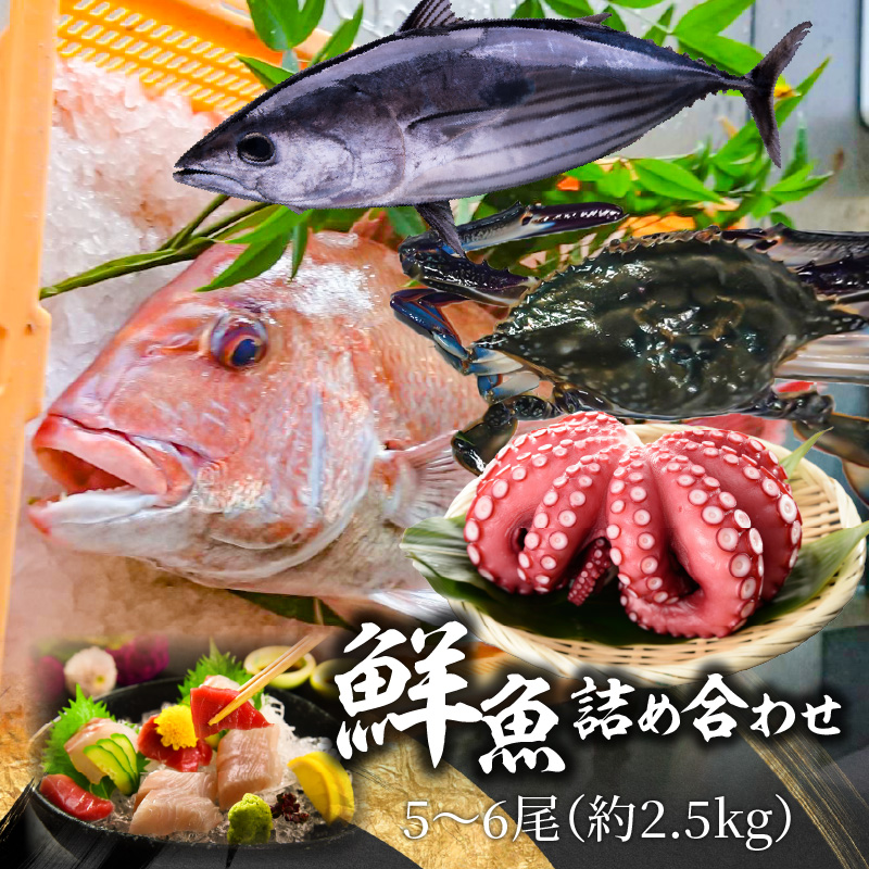 【ふるさと納税】【配送不可地域：北海道・東北・沖縄県・離島】鮮魚詰め合わせ 5～6尾（約2.5kg）  株式会社瀬戸水産