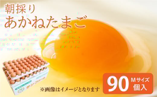 卵 朝採り あかねたまご 90個（Mサイズ）10個破損補償含む