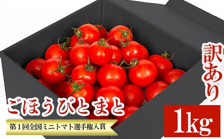 予約受付 11月 以降発送 【訳あり】 ごほうびとまと 1kg 糖度8~14度 ( ﾄﾏﾄ 野菜 ﾄﾏﾄ 野菜 ﾄﾏﾄ 野菜 ﾄﾏﾄ 野菜 ﾄﾏﾄ 野菜 ﾄﾏﾄ 野菜 ﾄﾏﾄ 野菜 ﾄﾏﾄ 野菜 ﾄﾏﾄ 野菜 ﾄﾏﾄ 野菜 ﾄﾏﾄ 野菜 ﾄﾏﾄ 野菜 ﾄﾏﾄ 野菜 ﾄﾏﾄ 野菜 ﾄﾏﾄ 野菜 ﾄﾏﾄ 野菜 ﾄﾏﾄ 野菜 ﾄﾏﾄ 野菜 ﾄﾏﾄ 野菜 ﾄﾏﾄ 野菜 ﾄﾏﾄ 野菜 ﾄﾏﾄ 野菜 ﾄﾏﾄ 野菜 ﾄﾏﾄ 野菜 ﾄﾏﾄ 野菜 ﾄﾏﾄ 野菜 ﾄﾏﾄ 野菜 ﾄﾏﾄ 野菜 ﾄﾏﾄ 野菜 ﾄﾏﾄ 野菜 ﾄﾏﾄ 