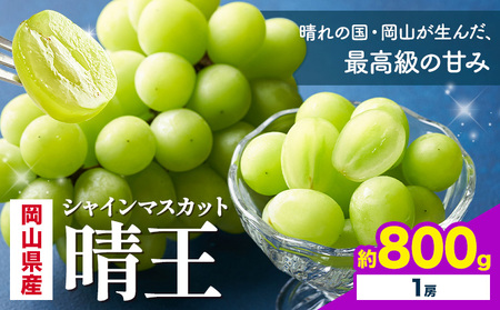 【2026年発送】  シャインマスカット 晴王 800g 1房 株式会社はちや シャインマスカット