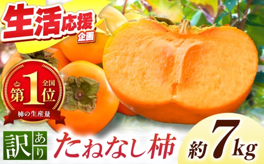 【なら育ち 益田農園】たねなし柿　訳アリ　約7kg（28玉～36玉） | フルーツ 果物 くだもの 柿 かき カキ 奈良県 五條市 大容量 たっぷり どっさり 種なし わけあり 訳あり 持続可能 渋抜き アルコール 炭酸 ガス アルコール脱渋 9月 10月 秋 旬 食物繊維 豊富 美容 健康 家庭用 自宅用 ご自宅用 農家直送 産地直送 益田農園 お取り寄せ グルメ 送料無料