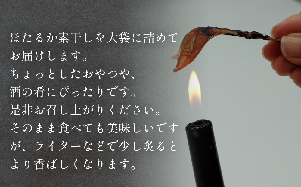 【訳あり】ホタルイカ素干し100g | ほたるいか訳アリ素干 珍